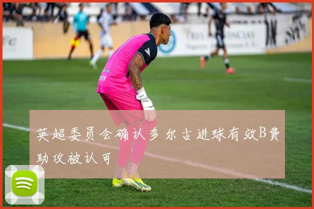 英超委员会确认多尔古进球有效B费助攻被认可